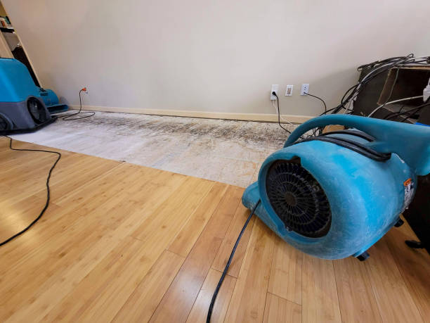 Professional Basement Flood Cleanup technician working in Woodside, NY